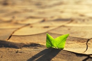Perché trattare il cambiamento climatico a scuola?
